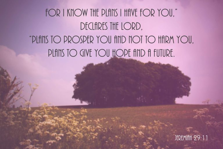 Encouraging Bible verse: “For I know the plans I have for you, declares the Lord,” offering strength and reassurance.