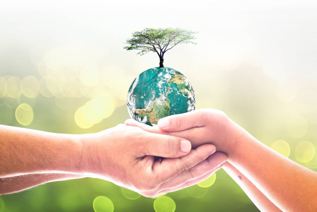Two hands hold the Earth, with a tree sprouting from it, symbolizing growth, nature, and the responsibility of environmental protection.