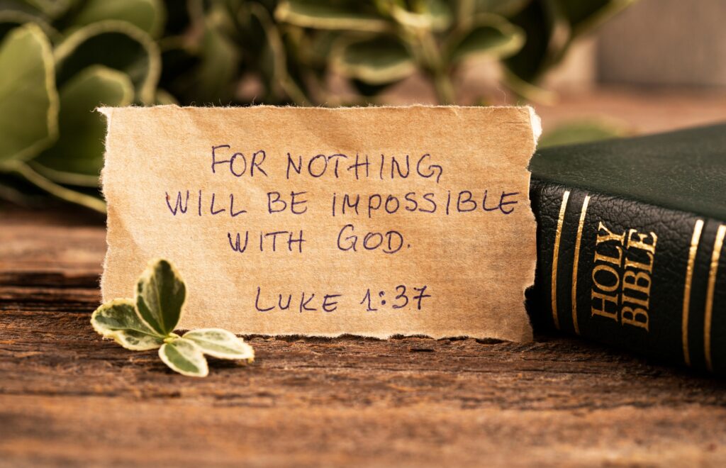 Best Graduation Scriptures & Quotes